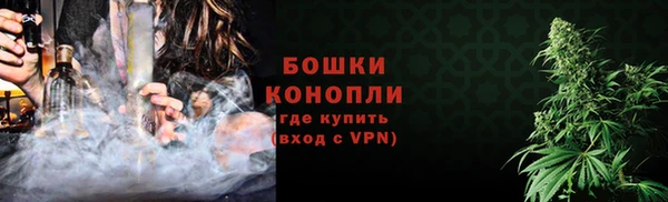 сатива Володарск