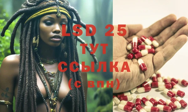 ешки Вяземский