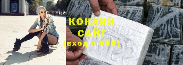 сатива Володарск