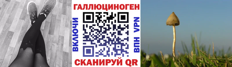 Галлюциногенные грибы Magic Shrooms  Купить закладки  Купино 