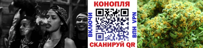 Конопля сатива Купино